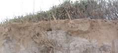 soil erosion, depleted soil, top soil, heterogeneous, food supply, farmland