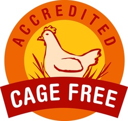 Cage Free, going green, free run, cagefree, freerun, eggs, battery cages, bill lauto, gtg, goingtruegreen, food labels, comfort coop, nest laid, furnished cages, organic, no gmos, gmo, enriched cages, free range