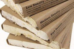mushroom insulation, mushroom packaging, ecovative, eben bayer, Gavin McIntyre, Sustainable