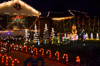 LEDs, LED light bulbs, save money, save energy, Christmas lights,