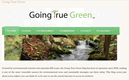 Blog honor, Going True Green's Blog, featured sustainable blogs, ShamansMarket, Shaman, 30 Best Sustainable Living Blogs